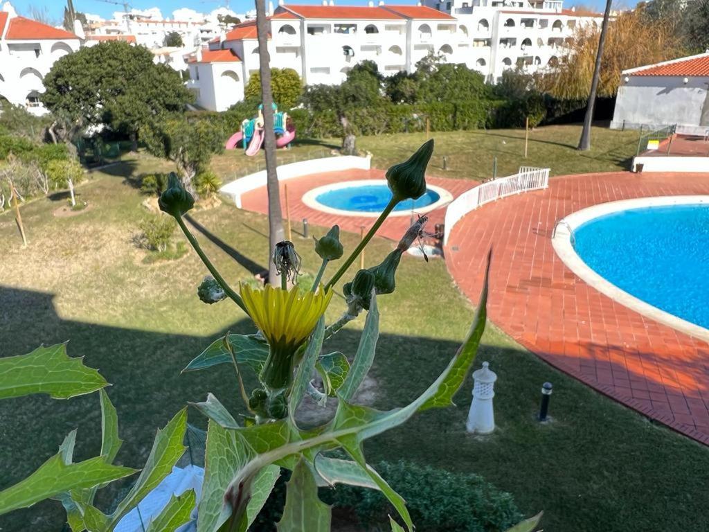 Painel De Albufeira Apartment ภายนอก รูปภาพ